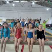 Відкритий турнір з гімнастики спортивної 