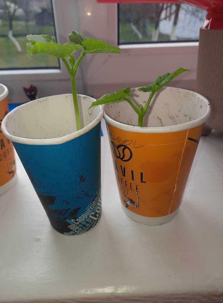 Досліджуємо разом.