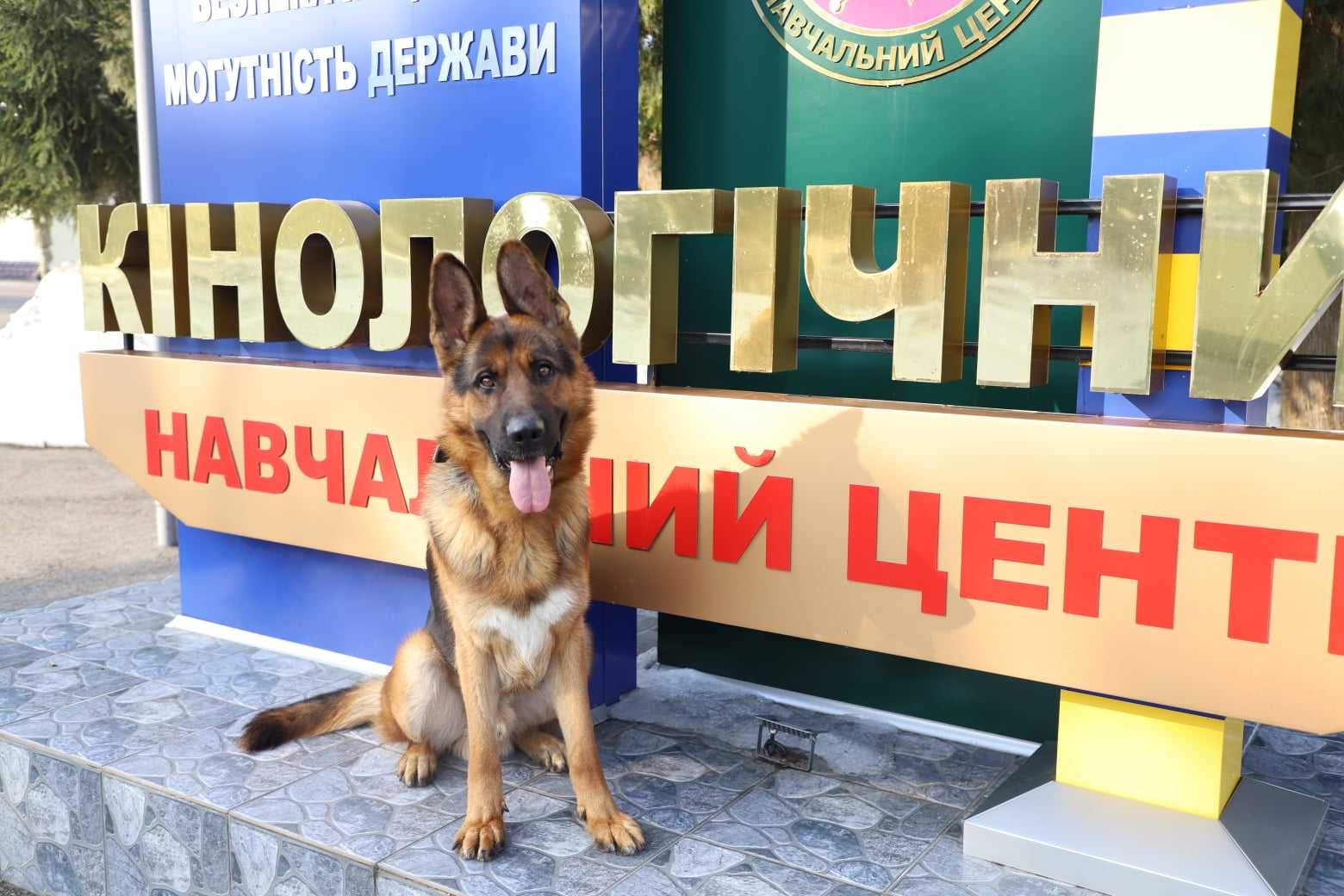 В гостях у кінологів