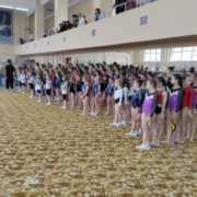 Змагання з гімнастики спортивної в м.Тернопіль