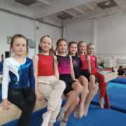 чемпіонат області з гімнастики спортивної