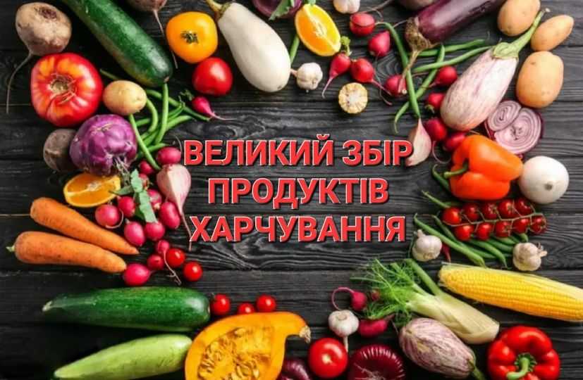 Волонтерство 