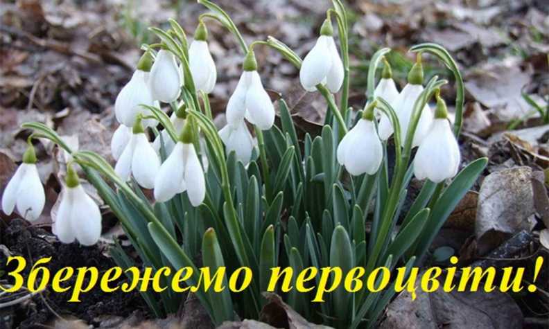 Збережемо первоцвіти