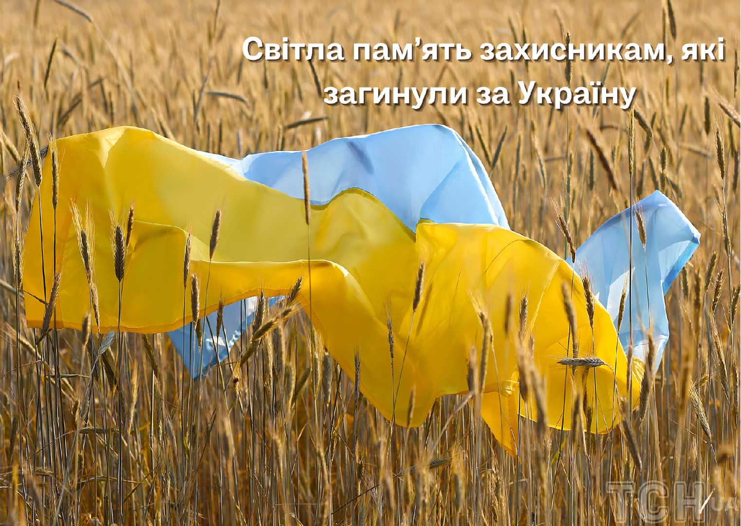 День пам’яті Захисників і Захисниць України