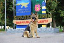 Зустріч із гостями з «Кінологічного навчального центру Державної прикордонної служби України»