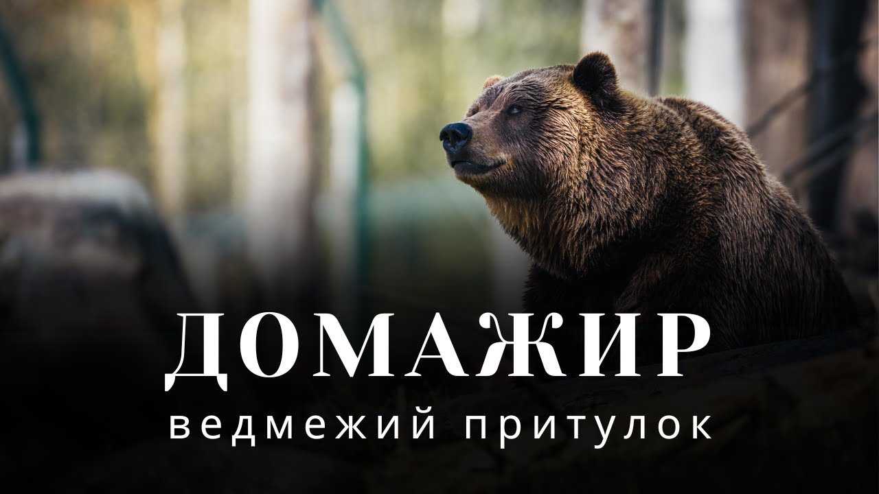 Подорож до ведмежат