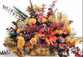 Вітаємо Сливку Аліну, ученицю 6-Б класу (учитель Мочалова Т.В.) із зайнятим І місцем у екологічному конкурсі 