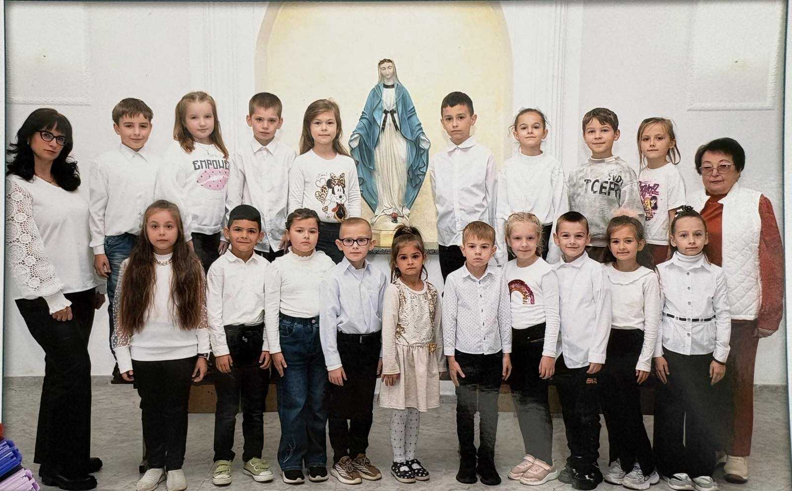 Галерея кімнатних рослин