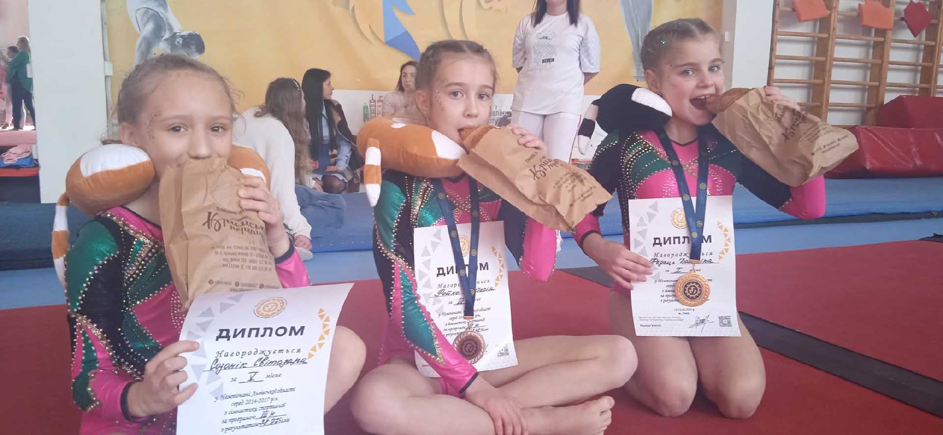 Чемпіонат Львівської області з гімнастики спортивної