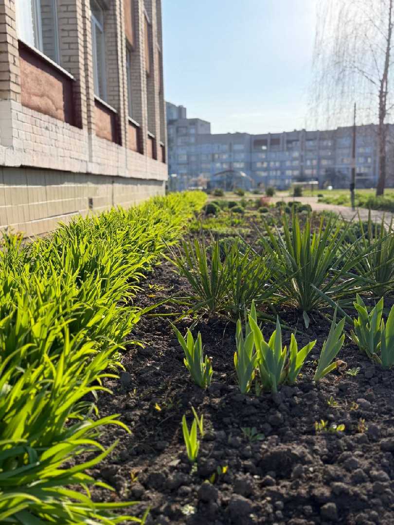 Озеленення та благоустрій