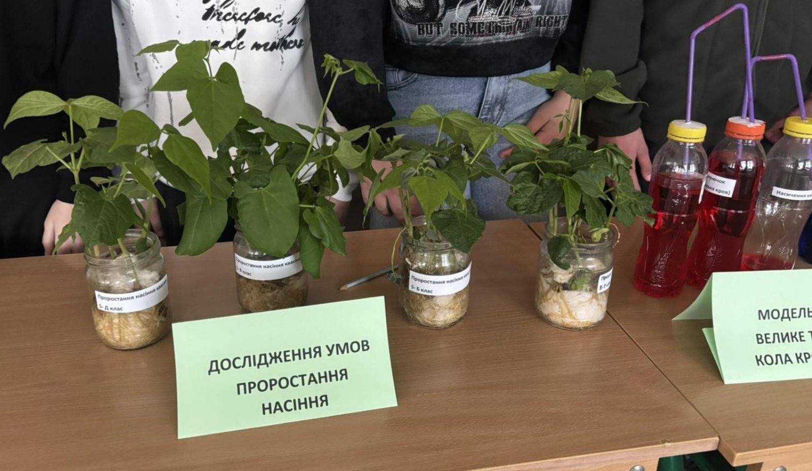Виставка STEM проєктів.