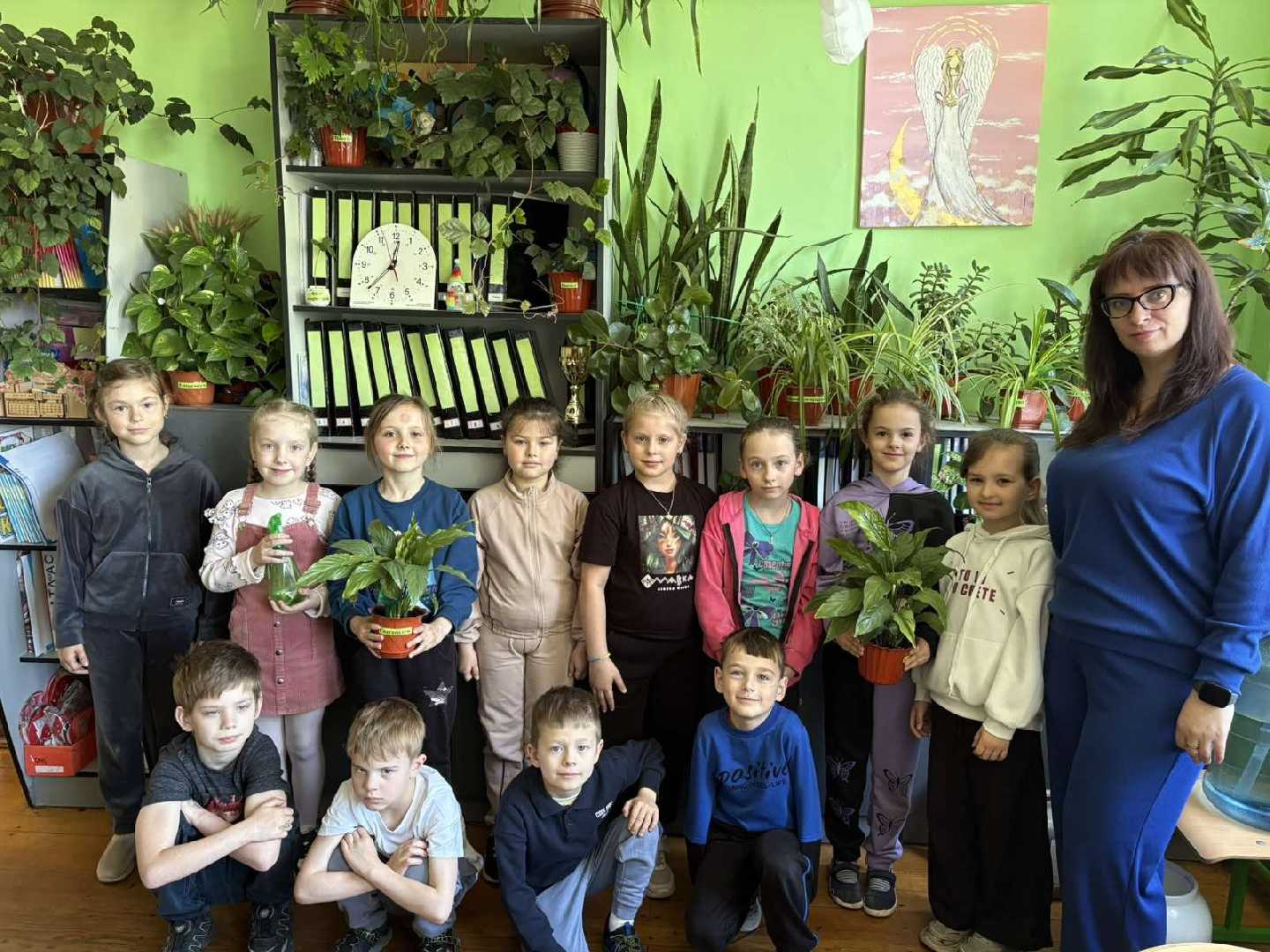 Галерея кімнатних рослин