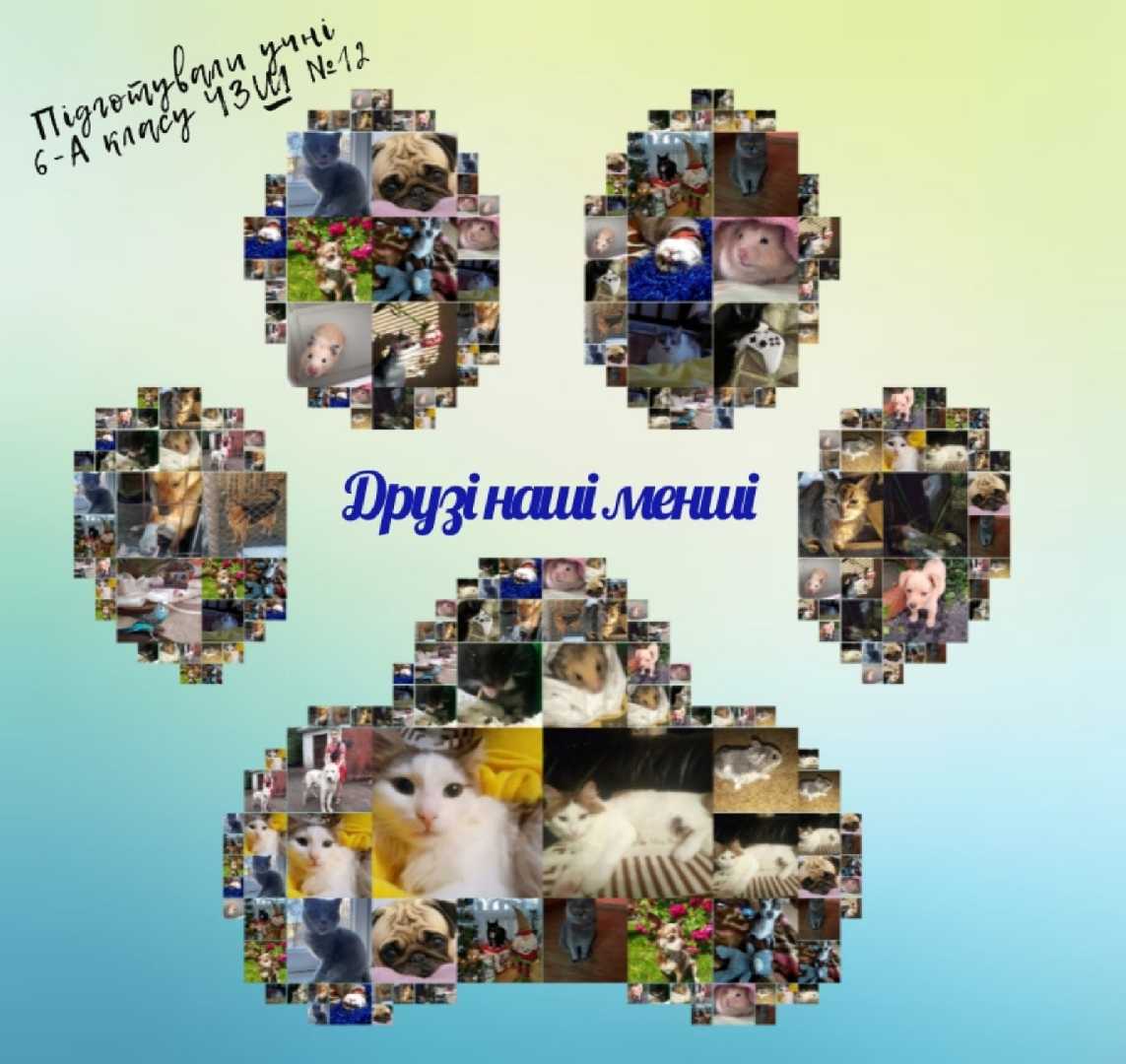 Фотовиставка  