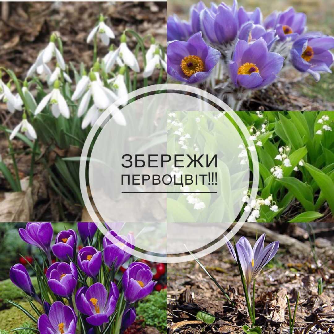 Вітаємо переможців!