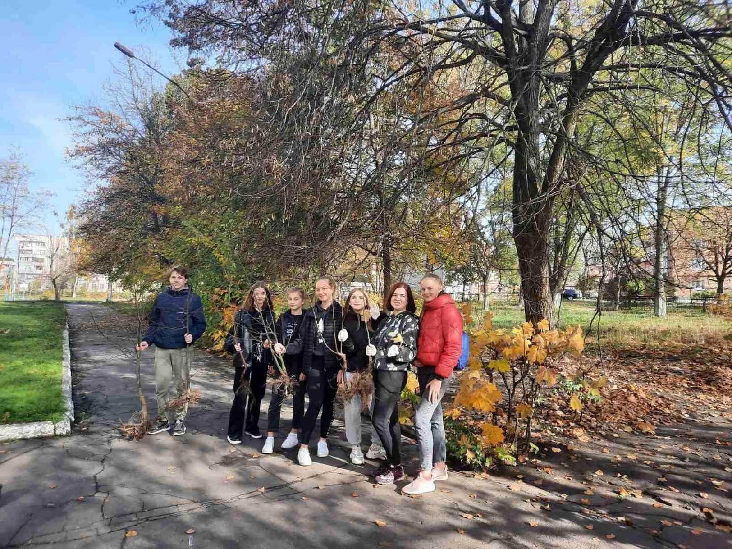 Озеленення території