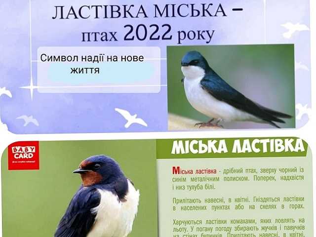 Гордимося учасниками міського екологічного конкурсу 