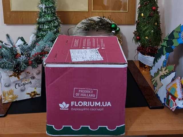 Стартував благодійний освітній проєкт Flowers4School