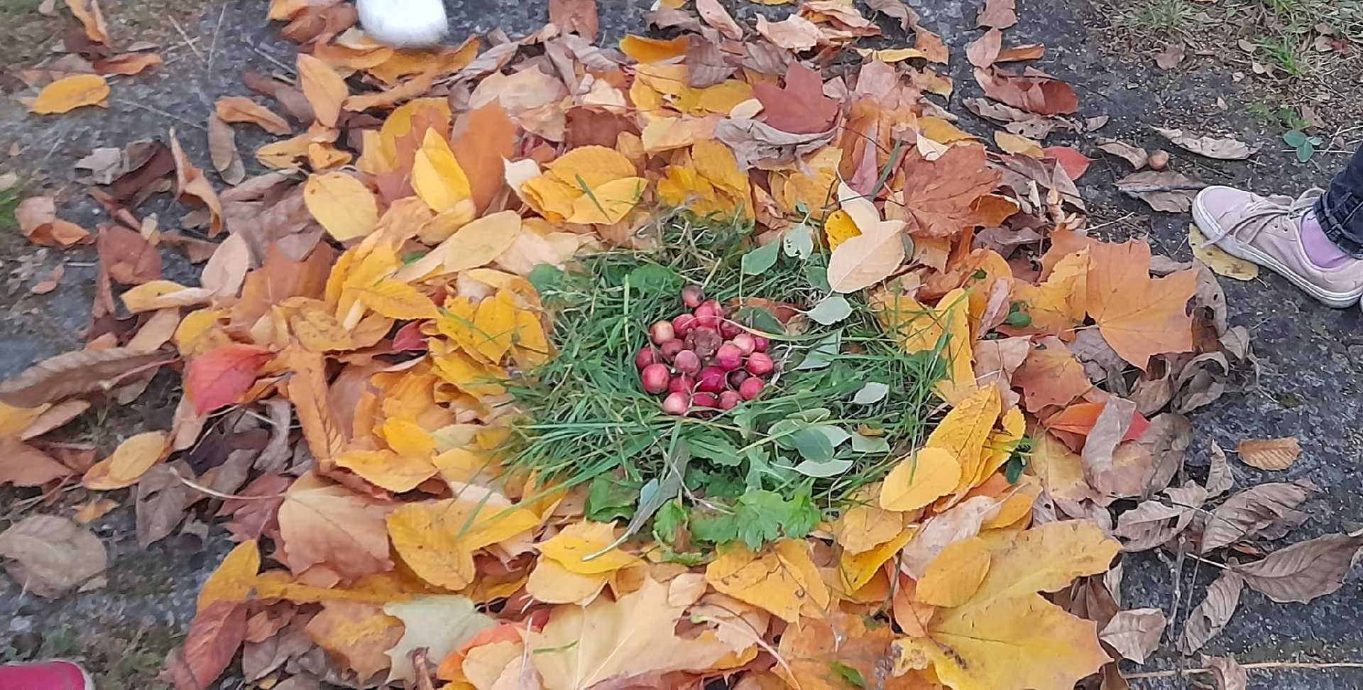 Гурток англійської мови 
