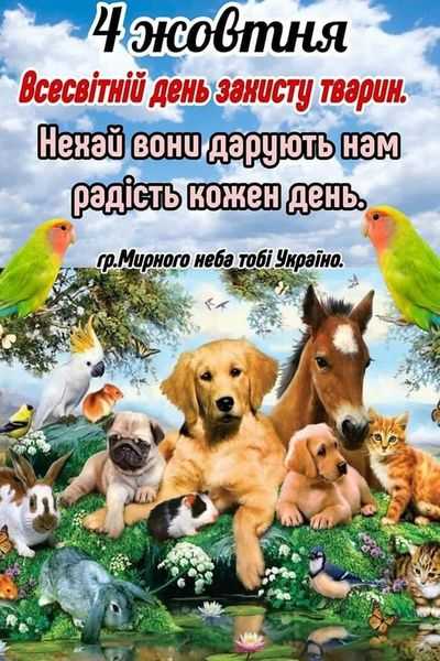  ,, Врятуй чотирилапого друга
