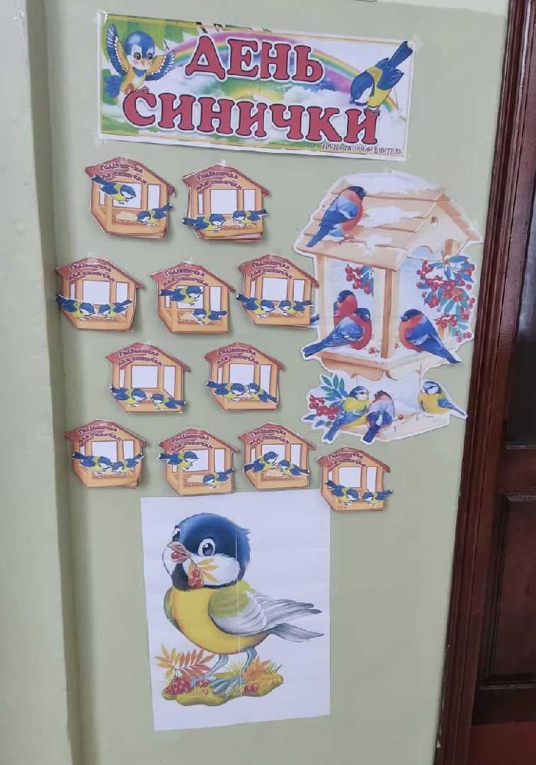 День синички 